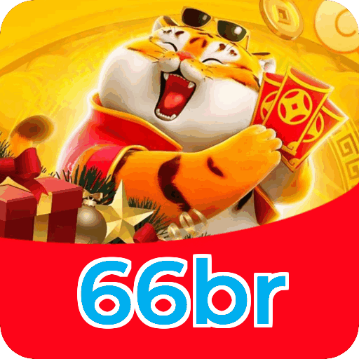 Métodos de pagamento aceitos na 66br